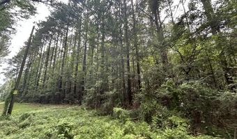 398 Wakefield Ln, Brookhaven, MS 39601