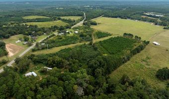 20 Ac State Hwy 95 Columbia Rd, Abbeville, AL 36310