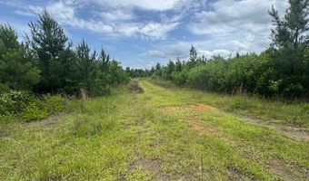 0 Salco Rd, Axis, AL 36505