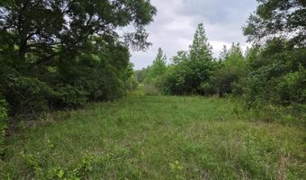 1542 Wellman Dr, Brookhaven, MS 39601
