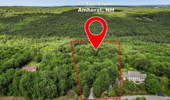 37 The Flume, Amherst, NH 03031