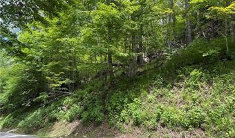 Tbd Wakeman Way, Banner Elk, NC 28604