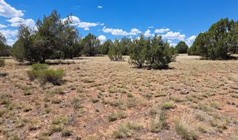 20614014 E W Isabella Ln, Ash Fork, AZ 86320