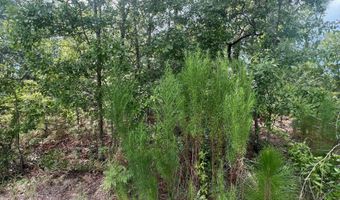 Lot 103-5 Harlem Street, Beech Island, SC 29842
