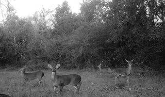 4540 Faceville Hwy, Bainbridge, GA 39819