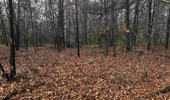 67 Old Wire Rd, Atkins, AR 72823