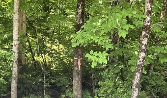 Denio Road, Barnet, VT 05821