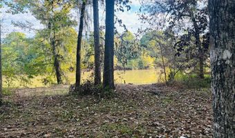 644 Ash-Harrel Loop, Abbeville, GA 31001