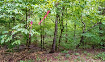 1 Camino Rd, Hot Springs Village, AR 71909