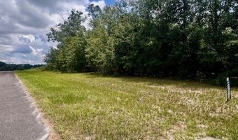 4899 36th St, Bell, FL 32619