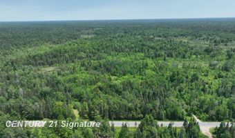 6002 Wildwood, Alger, MI 48610