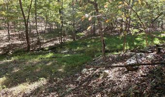 3013-3015 Possum Trot Rd, Ash Flat, AR 72513