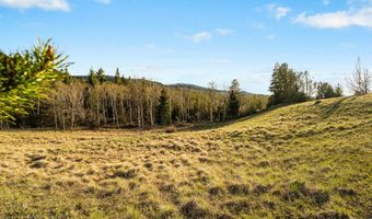 1470 Lime Spur Rd, Anaconda, MT 59711