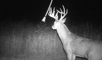 189 Th St, Albia, IA 52531