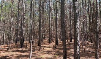 274 CR 3301, Booneville, MS 38829