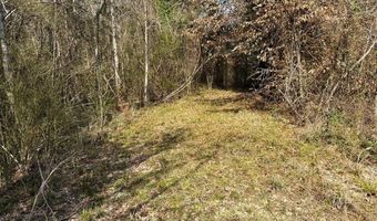 000 Mt Pleasant Ln SE, Bogue Chitto, MS 39629