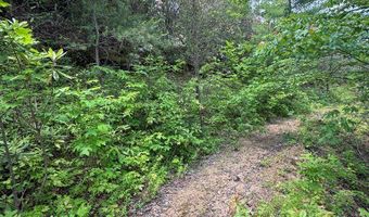 88 Acres Bolden Br, Andrews, NC 28901