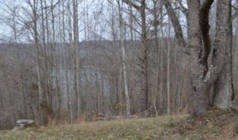 Fox Hill Road lot 4 & 5, Baxter, TN 38544