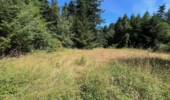 20452 WHALESHEAD Rd, Brookings, OR 97415