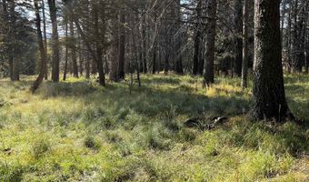 Lot 1319 Pleasant Valley Overlook, Angel Fire, NM 87710