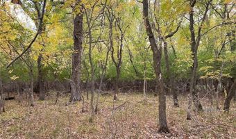 Lot 43 Lakota Island Estates, Big Stone City, SD 57216