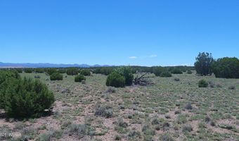 Tbd Windsor Valley Ranch Lot 87, Concho, AZ 85924