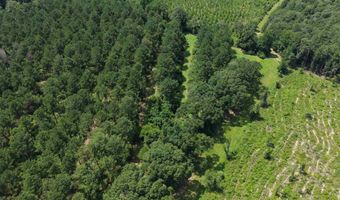 154 Perry Ln, Atmore, AL 36502