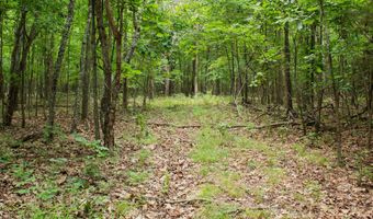 3899 County Road 304, Alton, MO 65606