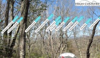 62 Acres Buckeye Ridge Rd, Beech Mountain, NC 28604