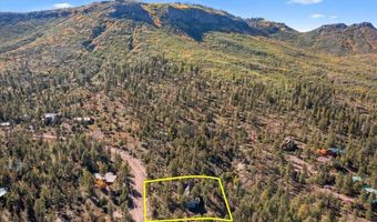 12 County Rd 2074, Alpine, AZ 85920