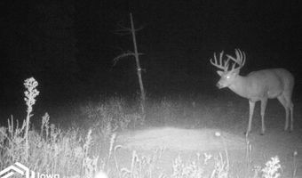 560 Th Ave, Albia, IA 52531