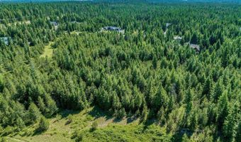 Lot 10 E Riley Loop, Athol, ID 83801