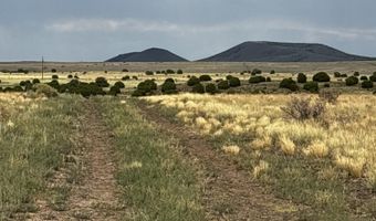 53 C County Road 3373, Concho, AZ 85924