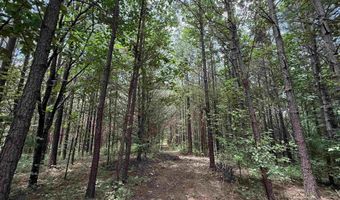 25 Acres Silo Rd, Altoona, AL 35952