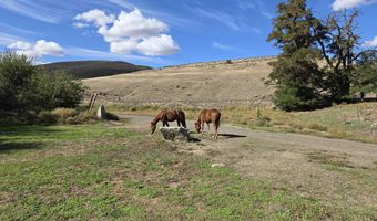 13761 Asotin Creek Rd, Asotin, WA 99402
