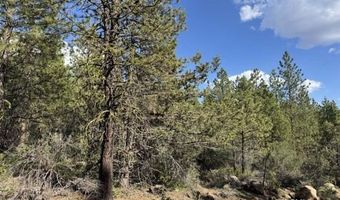 Thunder Bear Road, Bonanza, OR 97623