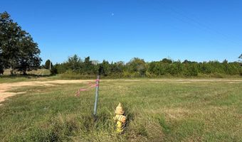 20 Ac State Hwy 95 Columbia Rd, Abbeville, AL 36310