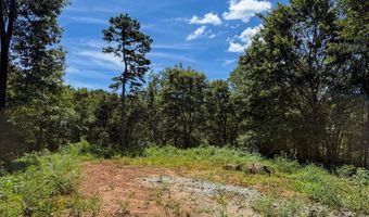 6 Black Rock Trl 6, Andrews, NC 28901