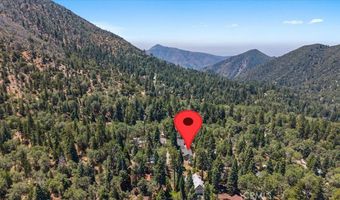 5998 Pine Ave, Angelus Oaks, CA 92305