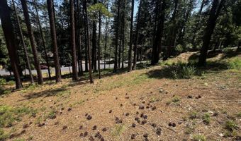 2904 Venado Dr, Arnold, CA 95223