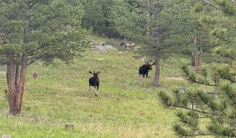 TBD County Road 59, Allenspark, CO 80510