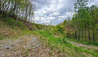 2789 Dry Fork Rd, Bandy, VA 24602