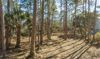 160 Harbor Cir, Alligator Point, FL 32346
