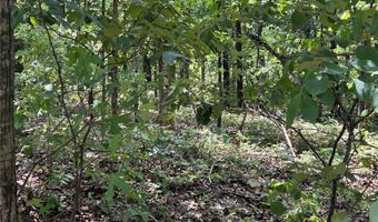 Cranbrook Lane lot 21, Bella Vista, AR 72714