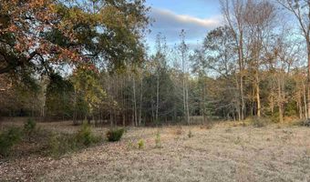 11 Acres RISER MILL ROAD Lot 11 Acres, Alpine, AL 35014