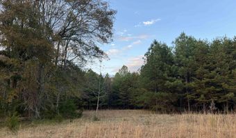11 Acres RISER MILL ROAD Lot 11 Acres, Alpine, AL 35014