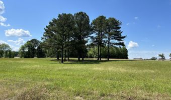 0 Jim Drewery Dr, Booneville, MS 38829