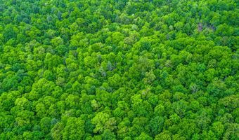 15 4ac Mt Helen Rd, Allardt, TN 38504