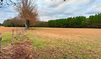 HWY 9, Bruce, MS 38915