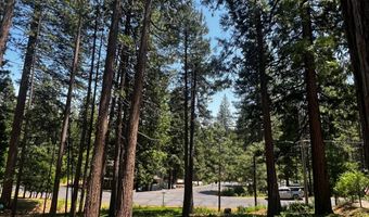 2904 Venado Dr, Arnold, CA 95223